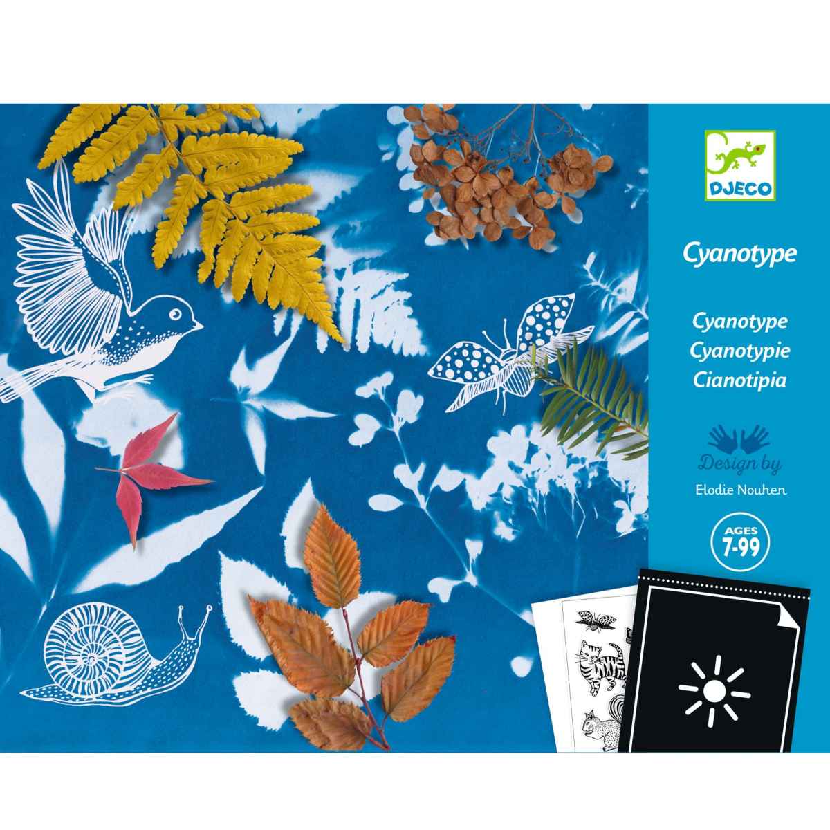 Starter Set Cyanotypie von Djeco