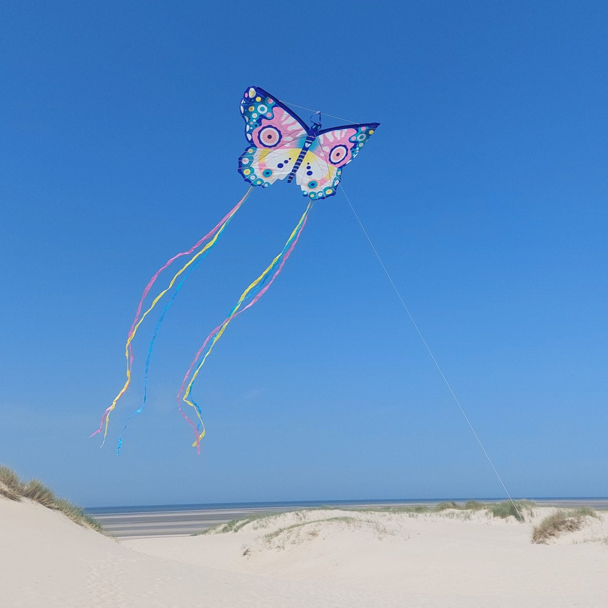 Maxi Drache Einleiner Schmetterling von Djeco